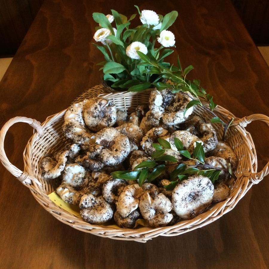 Agriturismo Fasano Касано деле Мурдже Екстериор снимка